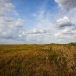 Flamingo Everglades Boat Tours - Who Is This Tour Best For?