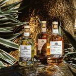 Flavors of Vallarta: A Churro, Tequila & Taco Adventure - Final Thoughts on Value and Experience