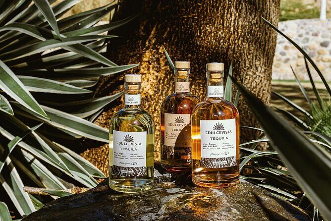 Flavors of Vallarta: A Churro, Tequila & Taco Adventure - Final Thoughts on Value and Experience