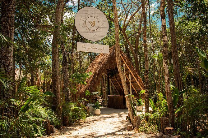Floating breakfast in The Yellow Nest (near Dos Ojos cenote) - A Deep Dive into the Experience