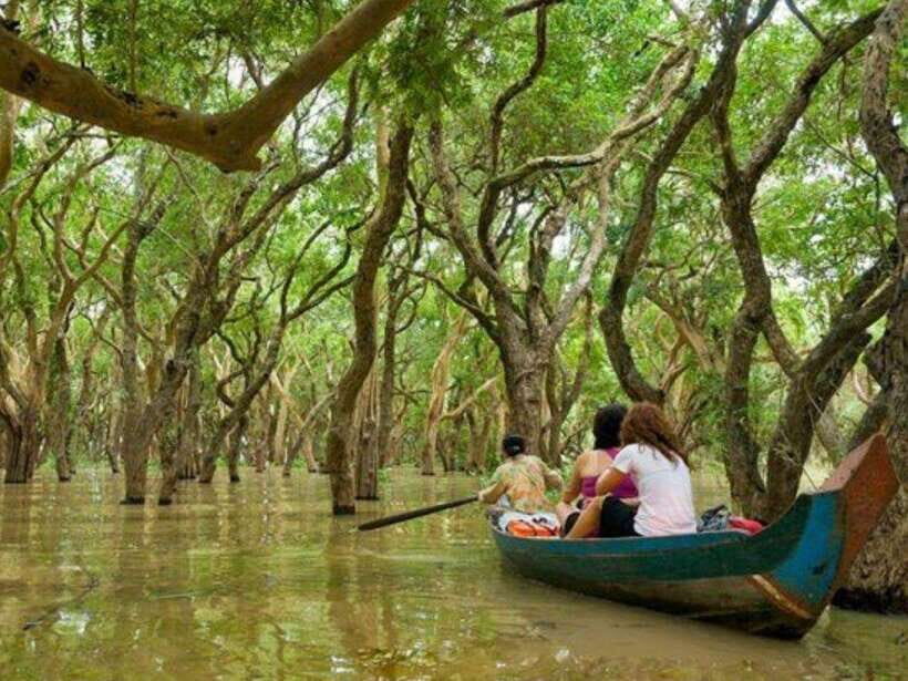 Floating Village-Mangroves Forest Tonle Sap Lake Boat Tour - Why This Tour Stands Out