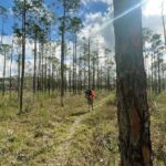 Florida Backcountry Overnight Camping Adventure - The Value of Guided Wilderness Experiences