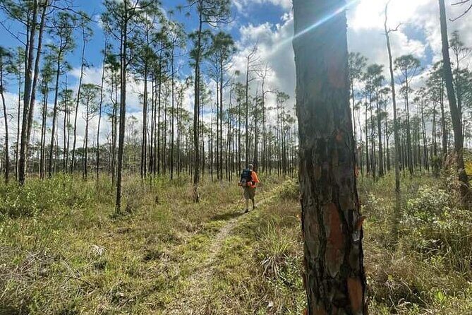 Florida Backcountry Overnight Camping Adventure - The Value of Guided Wilderness Experiences