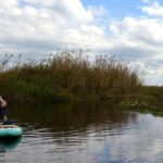 Florida Bioluminescent Kayak & Paddle Board Adventure - The Detailed Review