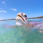 Florida Key Private Islands Exclusive Day Trip from Miami w/activ - The Crew & Safety