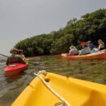 Florida Keys Eco Tour: Snorkel, Kayak, Lunch + Transportation! - Who Will Love This Tour?
