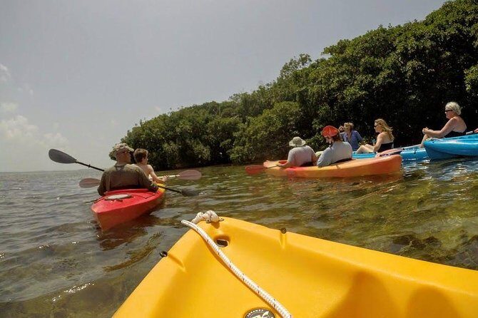 Florida Keys Eco Tour: Snorkel, Kayak, Lunch + Transportation! - Who Will Love This Tour?