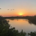 Florida Sunset and Bioluminescence Package - Who Should Book This Tour?