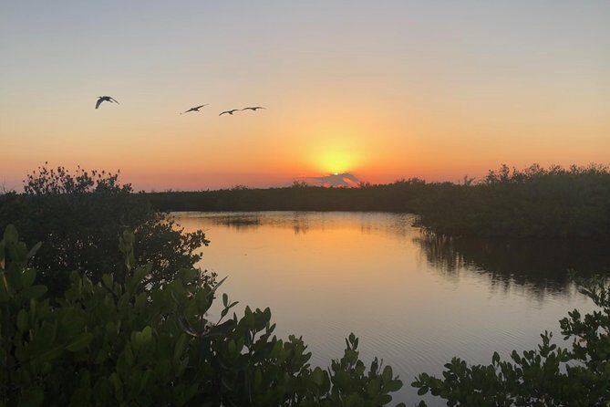 Florida Sunset and Bioluminescence Package - Who Should Book This Tour?