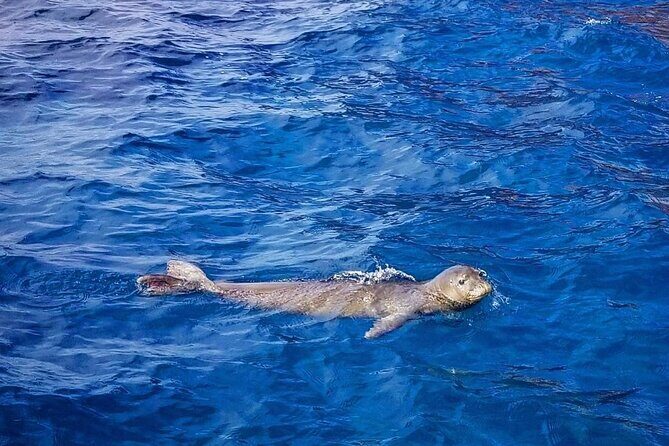 Flotation Therapy Rental 24 Hr Float Wetsuit, Goggle, Headphone