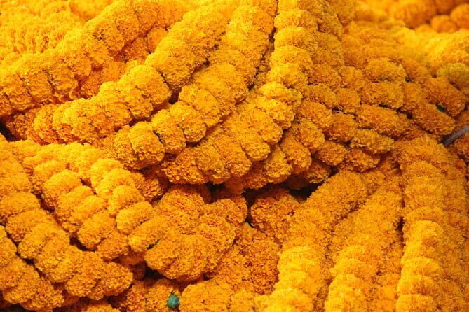 Flower Market Colors and Ganges Ghat Experience - What Travelers Say & Why It Works