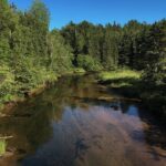 Fly Fishing Guided Experiences - Final Thoughts
