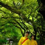 Fm Odawara: Forest bathing and onsen with healing power - Exploring the Tour Step-by-Step