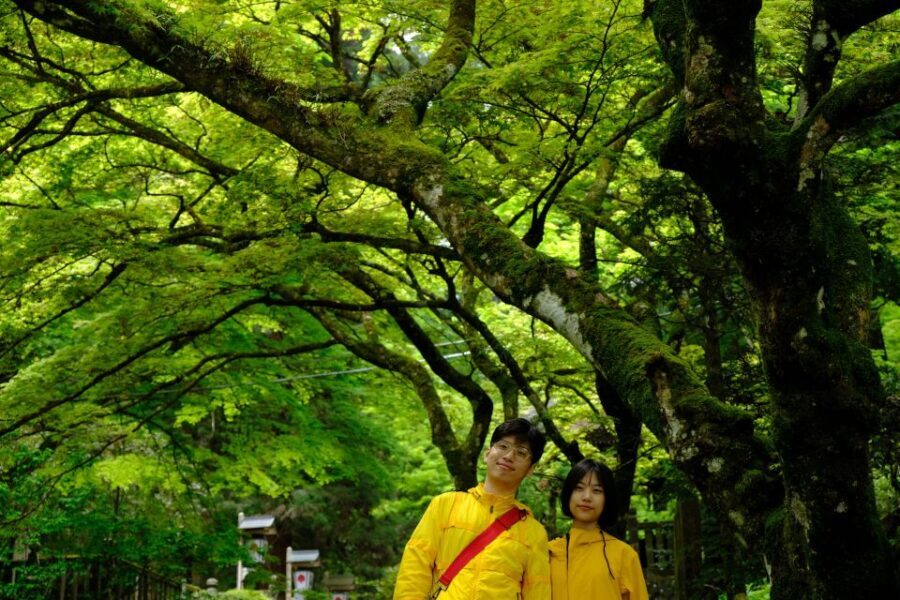 Fm Odawara: Forest bathing and onsen with healing power - Exploring the Tour Step-by-Step
