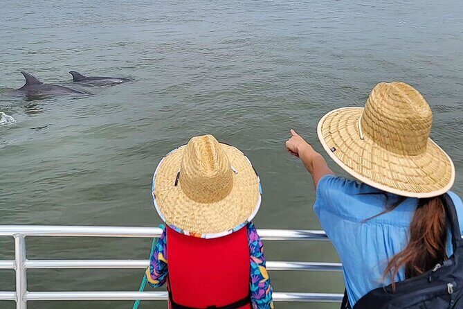Folly Beach Dolphin Viewing Boat Excursion and Estuary Tour - FAQ
