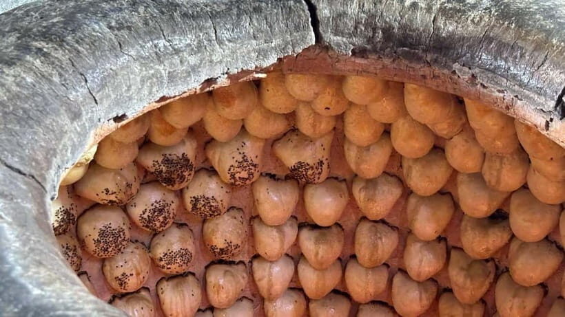 Food tour in Tashkent - Who Will Love This Tour?