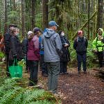 Foraging Tour of Edible Plants and Mushrooms in Brinnon - The Sum Up
