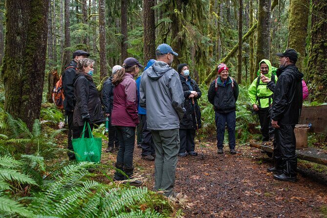 Foraging Tour of Edible Plants and Mushrooms in Brinnon - The Sum Up