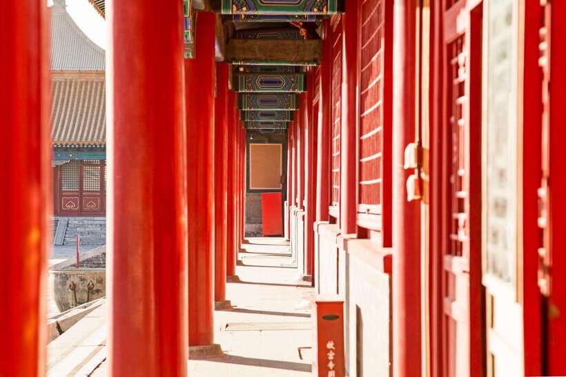 Forbidden City, Summer Palace & Temple of Heaven Tour - A Detailed Look at the Tour Experience