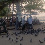 Fort Kochi: Tuk Tuk Kochi Tours  Budget Friendly - Frequently Asked Questions