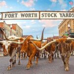 Fort Worth Highlights Tour - The Return: Modern Texas and Dallas Views