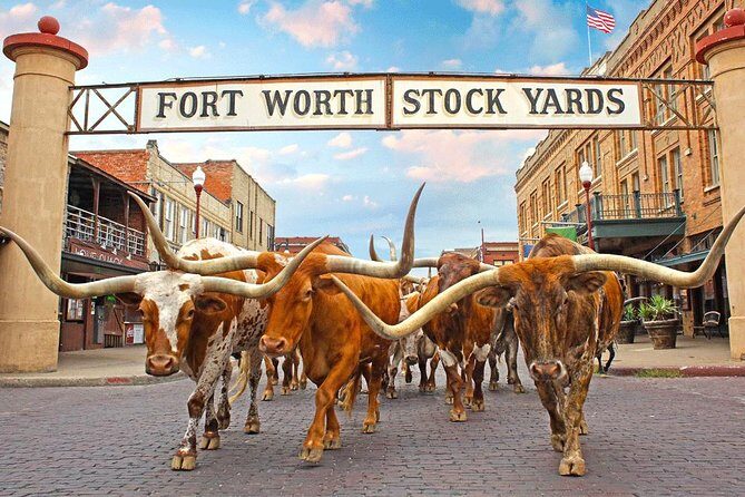 Fort Worth Highlights Tour - The Return: Modern Texas and Dallas Views