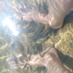 Fox Canyon Tour - Frequently Asked Questions (FAQs)