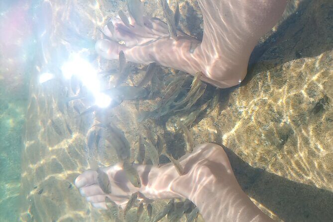 Fox Canyon Tour - Frequently Asked Questions (FAQs)