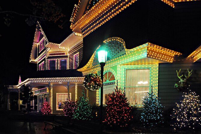 Franklins Festive Lights Spectacular A Christmas Wonderland Tour - Who Should Consider This Tour?