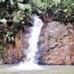 Fraser's Hill Day Trip with Local Lunch - Key Points