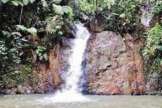 Fraser's Hill Day Trip with Local Lunch - Key Points