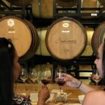 Fredericksburg Hill Country Aficionado Wine Tour from San Antonio - Who Would Enjoy This Tour?