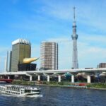 Free Choice of Itineraries Tokyo Private Tour - Authentic Experiences and Practicalities