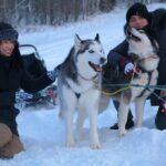 Free Pickup/Drop off: Alaskan Husky Dog Sledding with Free Photo - The Itinerary in Detail