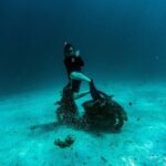 Freediving in Phuket - SSI - AIDA - Molchanovs - PADI - Who Should Consider This Course?