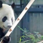 Freely set up plans Guided Private Tours in Tokyo - Who Is This Tour Best Suited For?