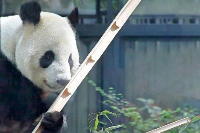 Freely set up plans Guided Private Tours in Tokyo - Who Is This Tour Best Suited For?