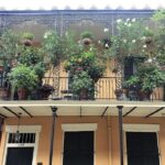 French Quarter Historical Sights and Stories Walking Tour - Who Should Take This Tour?