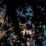 French Quarter True Crime Walking Tour - FAQ