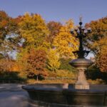 Friends Filming Locations in New York City with Private Guide - What Travelers Can Expect