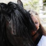 Friesian Herd Tours, Workshops, Classes and Retreats in the Kettle Moraine area. - Final Thoughts