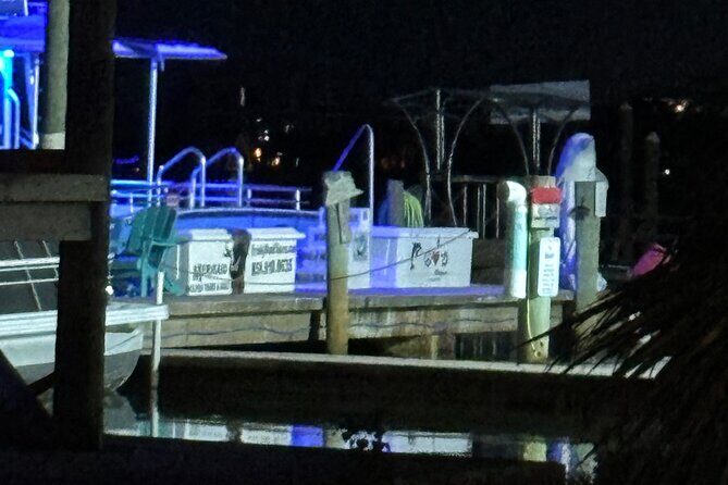 Frisky Mermaid Fireworks Cruise Up to 49 Pax - Who Should Consider This Tour?