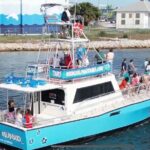 Frisky Mermaid Public Dolphin + Sightseeing Cruise Up to 49 Pax - Why This Tour Offers Real Value