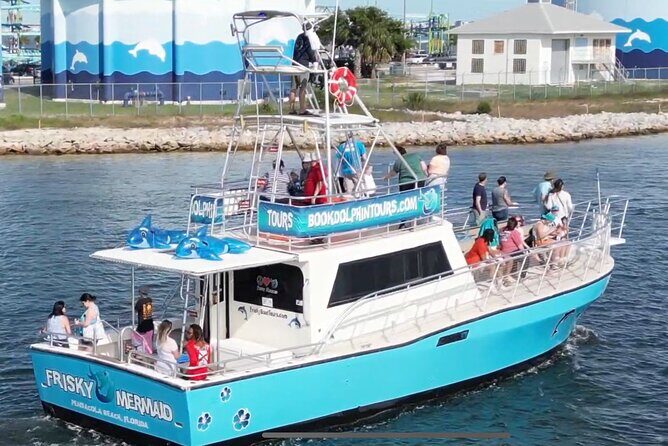 Frisky Mermaid Public Dolphin + Sightseeing Cruise Up to 49 Pax - Why This Tour Offers Real Value