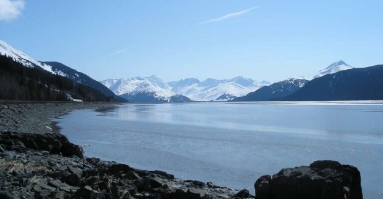 From Anchorage: Portage Glacier and Wildlife Full-Day Tour - Who Is This Tour Best For?
