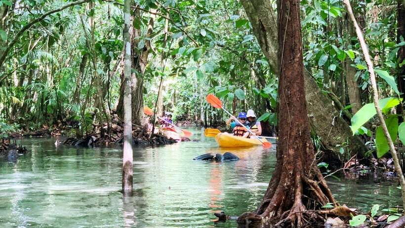 From Ao Nang: Kayaking at Klong Rud with Hotel Transfers - Why This Tour Offers Good Value