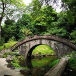 From Asakusa: Old Tokyo, Temples, Gardens and Pop Culture - A Deep Dive into What You Can Expect