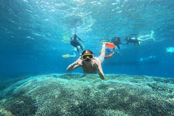 From Bali: Nusa Penida Full Day Tour and Snorkeling - A Detailed Look at the Nusa Penida Tour Experience