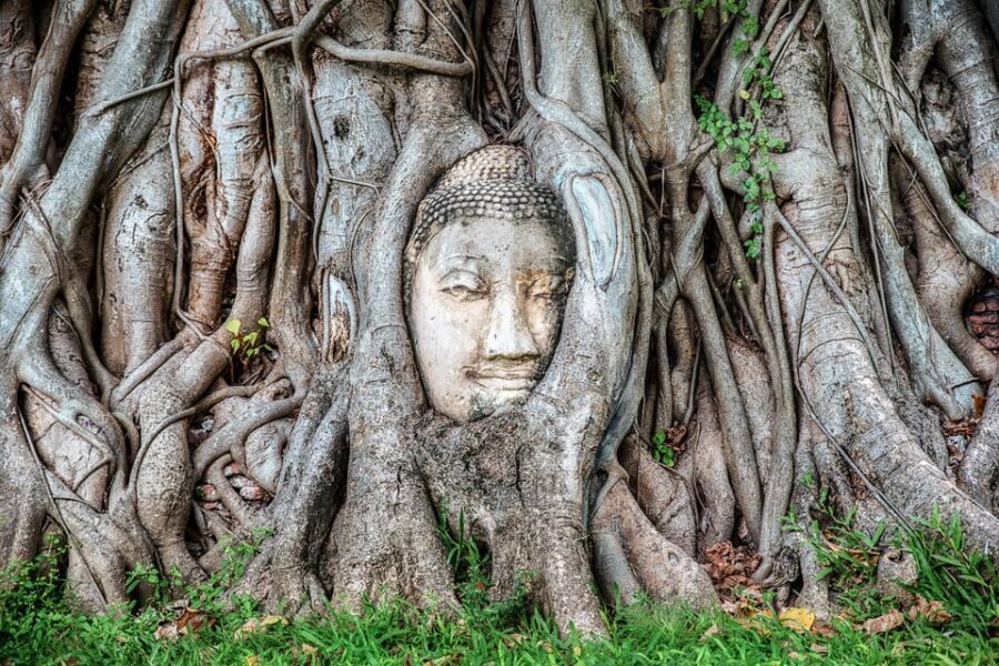 From Bangkok: Ayutthaya & Ayothaya Floating Market Day Trip - What the Reviews Say