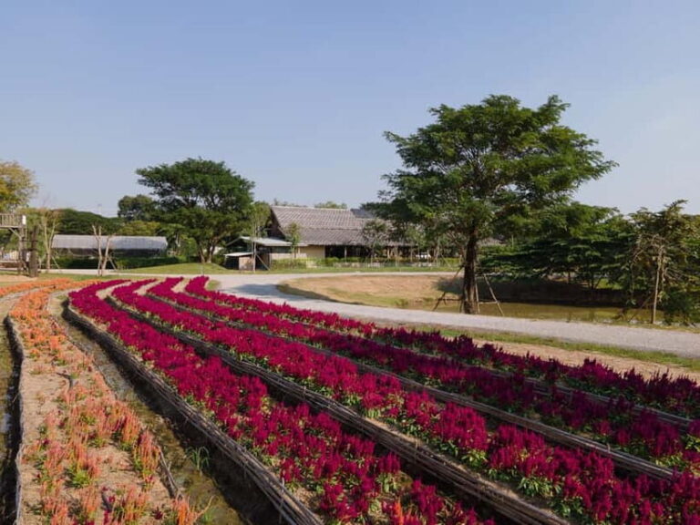 From Bangkok: Ayutthaya Temples & Gallery Boathouse Tour - Who Should Consider This Tour?
